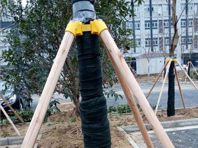 關於苗木支撐類型（xíng）與方法詳細介紹